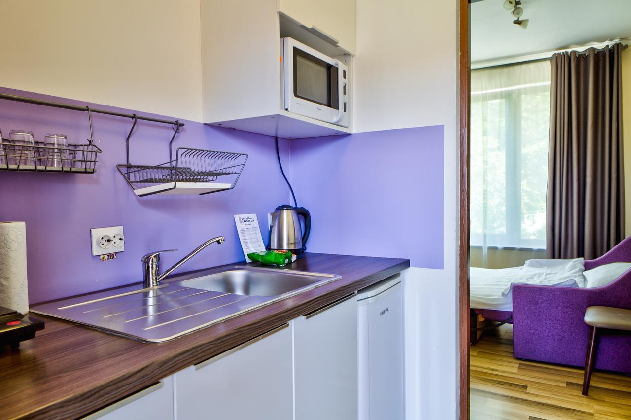 Studio Apartcity Brašov Exteriér fotografie