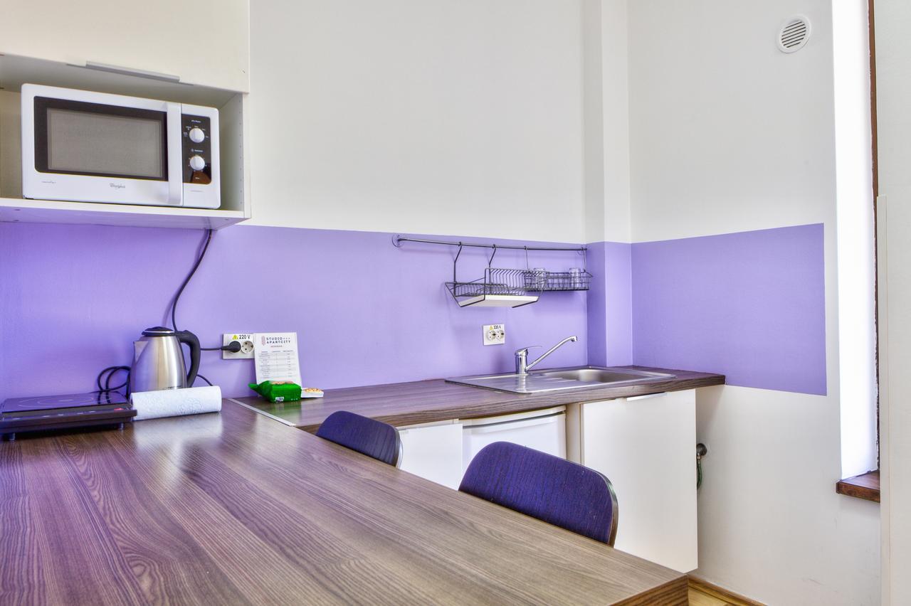 Studio Apartcity Brašov Exteriér fotografie