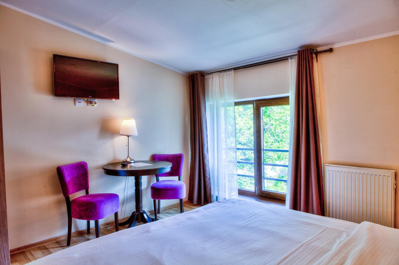 Studio Apartcity Brašov Exteriér fotografie